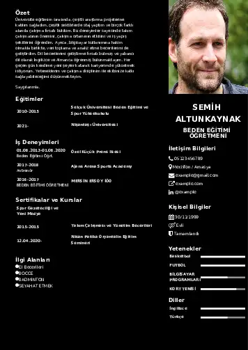 cv indir